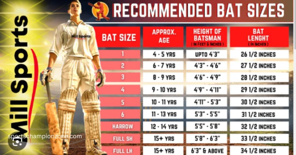 Cricket Bat Size